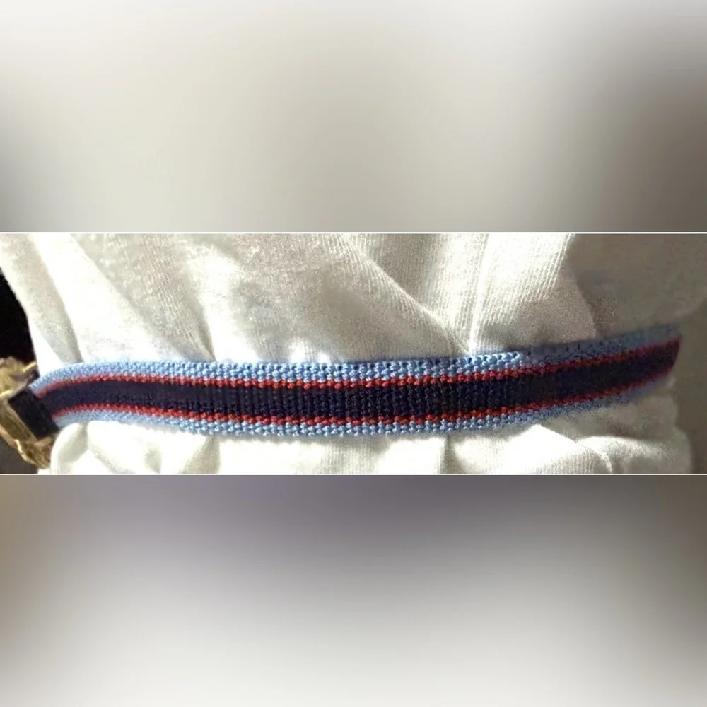 Tory burch Crab Clasp Striped Webbing Skinny Elastic Belt Blue Red
